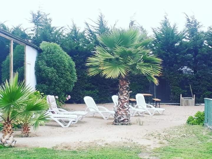Hotel Del Valle Quilimari Pichidangui Zewnętrze zdjęcie