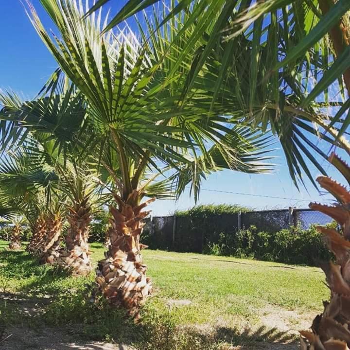 Hotel Del Valle Quilimari Pichidangui Zewnętrze zdjęcie